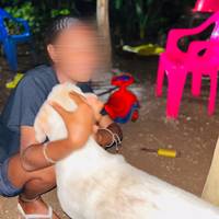 TikTok Account - https://p16-sg.tiktokcdn.com/tos-alisg-avt-0068/4bbd12ec20fe72610c9913beb2af52f3~tplv-tiktokx-cropcenter-q:200:200:q70.jpg