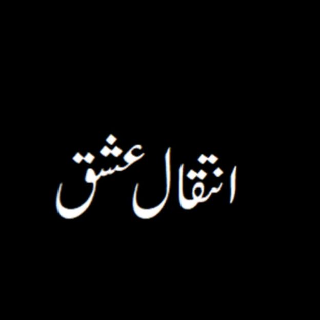 Sikandar🥰 - original sound