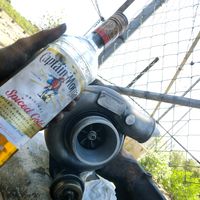 TikTok Account - https://p16-sg.tiktokcdn.com/tos-alisg-avt-0068/4c0ff90f545e8f52709c1a5d9c1e26ac~tplv-tiktokx-cropcenter:200:200.jpeg