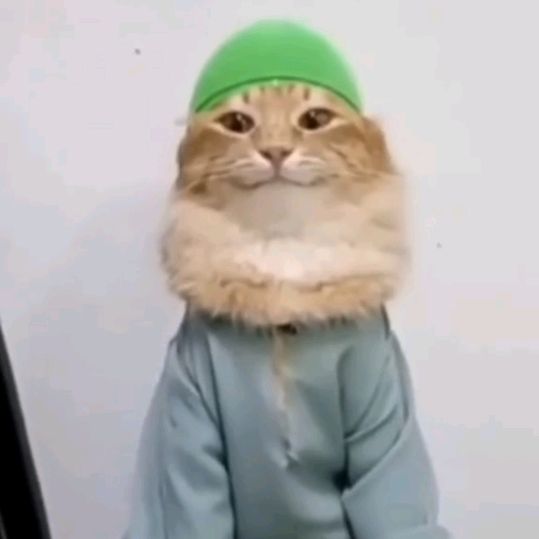 kedullah_kedi