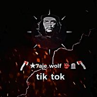 wolfedit39