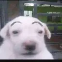 @koyanwtlgq6
