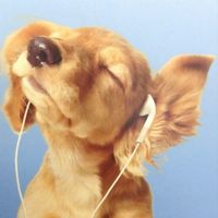 original sound - sa1nt555