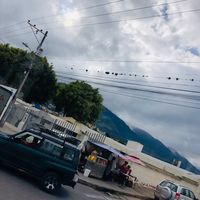 losandinotos