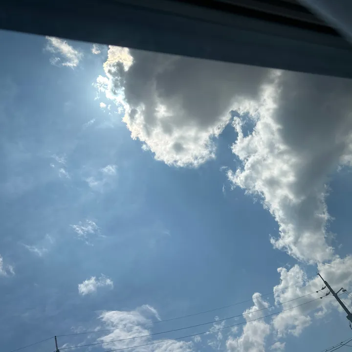 _424993