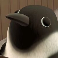 user142002749632