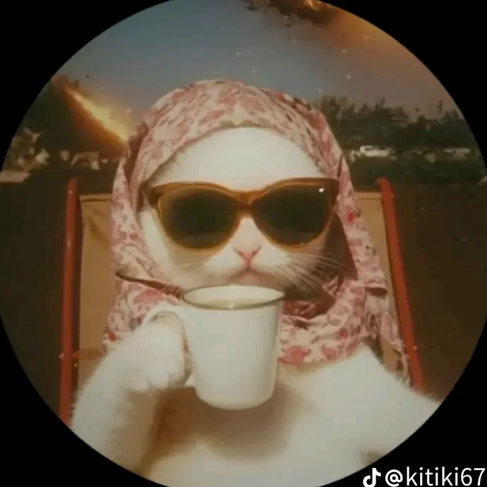 mrs.roronoa.3000