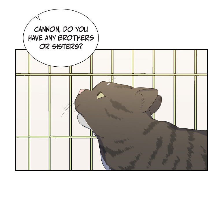 Lovers, Cats, and the Killer - episode 30 - 24