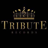 TikTok Account - tribute_records