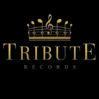 TikTok Account - tribute_records