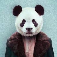 TikTok Account Photo