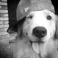TikTok Account - https://p16-sg.tiktokcdn.com/tos-alisg-avt-0068/526afbc1b0b4eb91f5f554e877a33ff3~tplv-tiktokx-cropcenter:200:200.jpeg