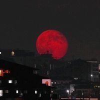 TikTok Account - https://p16-sg.tiktokcdn.com/tos-alisg-avt-0068/52e5561e2e66d406de17a57eaf041d00~tplv-tiktokx-cropcenter:200:200.jpeg