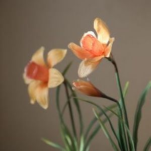 sallysflower_