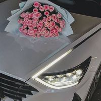 TikTok Account - https://p16-sg.tiktokcdn.com/tos-alisg-avt-0068/53c0c59124ce143781727a185142c7b7~tplv-tiktokx-cropcenter:200:200.jpeg