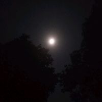 original sound - shaki_lyrics