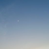 7umalog_115
