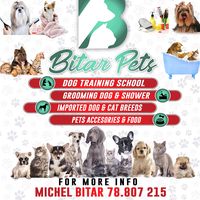 bitar_pets