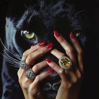 TikTok Account - https://p16-sg.tiktokcdn.com/tos-alisg-avt-0068/55ec178289a3388a151835d089875ebf~tplv-tiktokx-cropcenter:200:200.jpeg