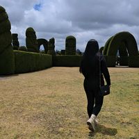 TikTok Account - https://p16-sg.tiktokcdn.com/tos-alisg-avt-0068/569bf3a979ff9dcb65588f2f403d1ed1~tplv-tiktokx-cropcenter:200:200.jpeg