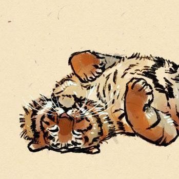 🐅 𝚐𝚛𝚊𝚢 🐅 - original sound