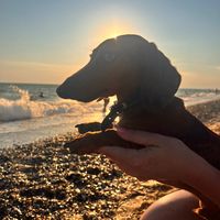 оригинальный звук