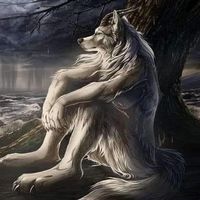 original sound - codocvuong.06