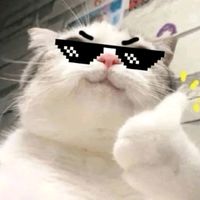 TikTok Account - https://p16-sg.tiktokcdn.com/tos-alisg-avt-0068/5828b6719fa18ec2b70b42d8dc20230f~tplv-tiktokx-cropcenter:200:200.jpeg