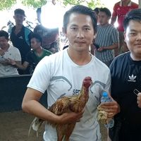 xaiyofarm