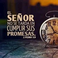 TikTok Account - https://p16-sg.tiktokcdn.com/tos-alisg-avt-0068/58cf18a75043be0e2602f6dbb397776f~tplv-tiktokx-cropcenter:200:200.jpeg