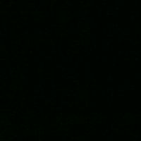 sally_3700