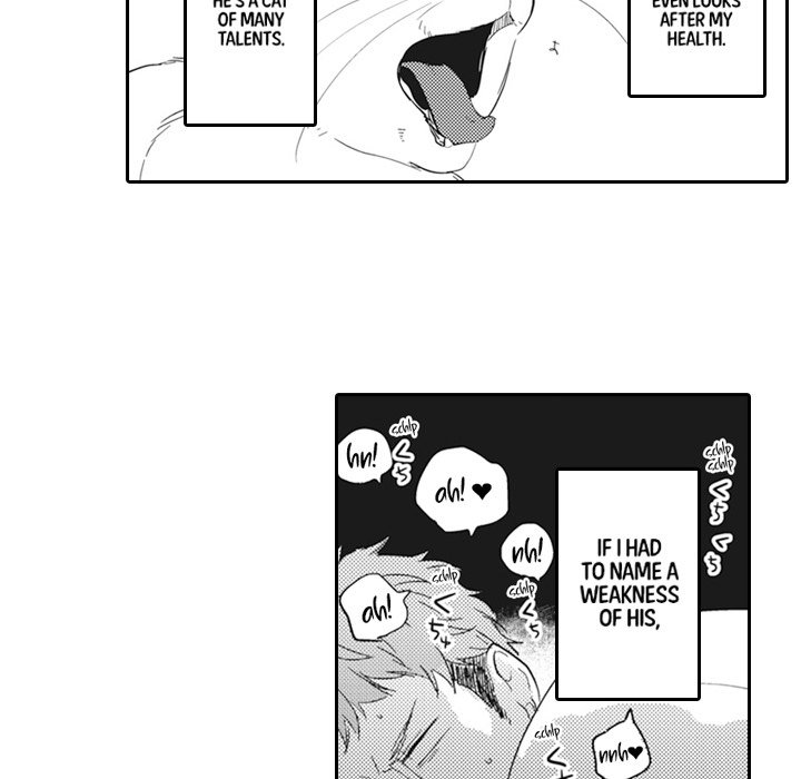 The Uninvited Cat and His Fickle Master - episode 7 - 9