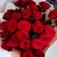 yomut_balajygy_007