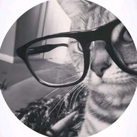 TikTok Account - https://p16-sg.tiktokcdn.com/tos-alisg-avt-0068/5c7a8ff2f1160ec5b80130d64eed7163~tplv-tiktokx-cropcenter:200:200.jpeg