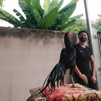 sukit55br