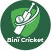 binicricketpk