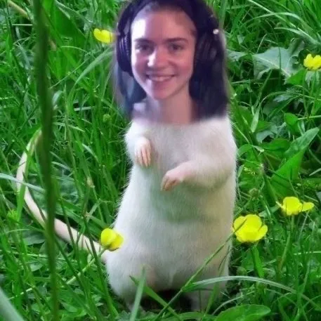 salvaratos