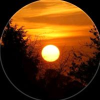 waleedwahab