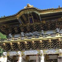 TikTok Account - https://p16-sg.tiktokcdn.com/tos-alisg-avt-0068/60c8f4b43e66283f6449cbad3c5e24e5~tplv-tiktokx-cropcenter:200:200.jpeg