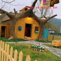 TikTok Account - https://p16-sg.tiktokcdn.com/tos-alisg-avt-0068/61d7917ce407b47a1806246ec2985b12~tplv-tiktokx-cropcenter:200:200.jpeg