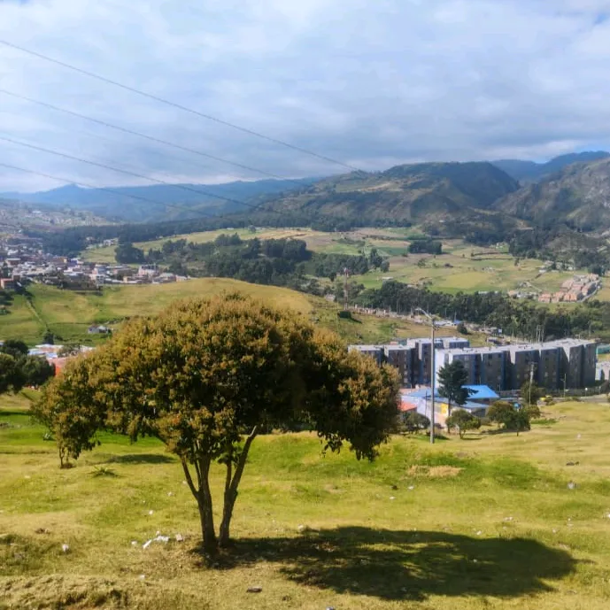 @golfistas.del.sur