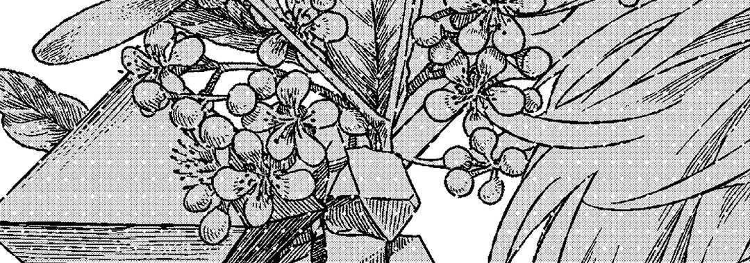 The Hundred-Year Crystal Catalogue - episode 4 - 75