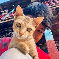 mr.jhakri03