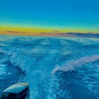 TikTok Account - https://p16-sg.tiktokcdn.com/tos-alisg-avt-0068/66063073addf14db43d9846eff4a3089~tplv-tiktokx-cropcenter:200:200.jpeg