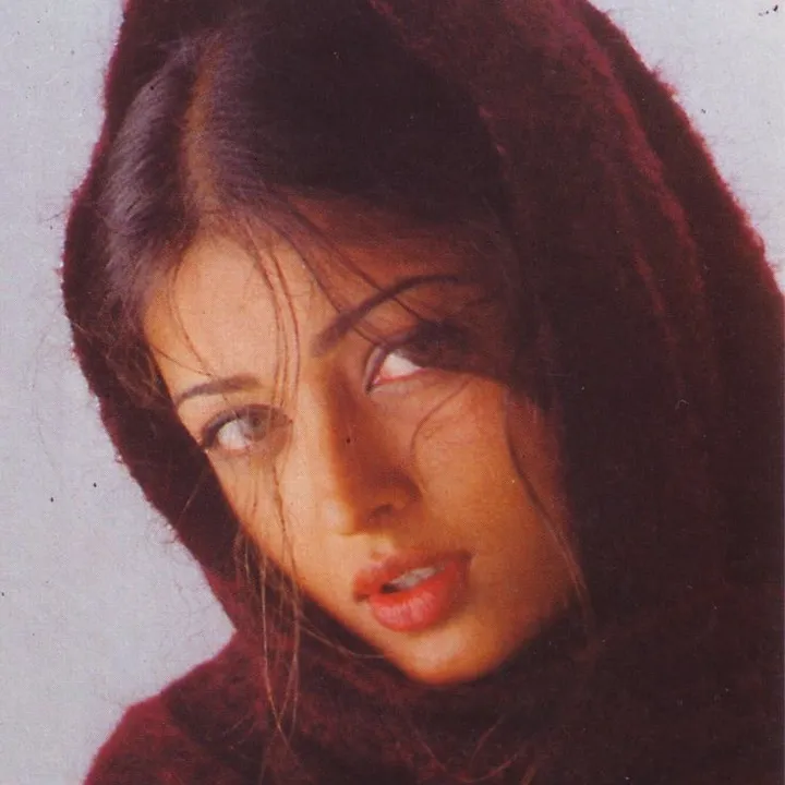 bollywood.arb