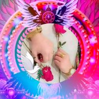 TikTok Account - https://p16-sg.tiktokcdn.com/tos-alisg-avt-0068/6be5da2e71b6a905cc1b079775fa61fc~tplv-tiktokx-cropcenter:200:200.jpeg