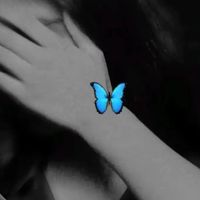 user311117890