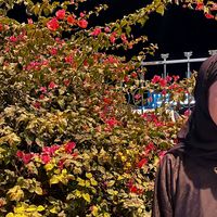 TikTok Account - https://p16-sg.tiktokcdn.com/tos-alisg-avt-0068/6c6fcfe473733ef9bdf40067e26188ad~tplv-tiktokx-cropcenter:200:200.jpeg