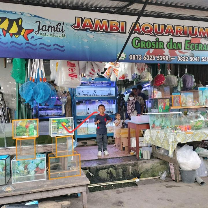 unijambi