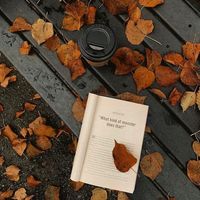 TikTok Account - https://p16-sg.tiktokcdn.com/tos-alisg-avt-0068/6d5f99a16dc903e17950e36b0d71feb1~tplv-tiktokx-cropcenter:200:200.jpeg